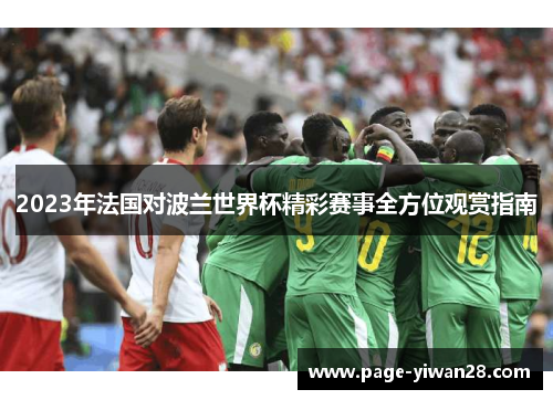 2023年法国对波兰世界杯精彩赛事全方位观赏指南